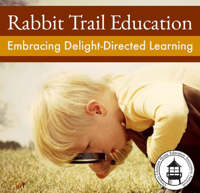 Rabbit Trail Education: Embracing Delight-Directed Learning