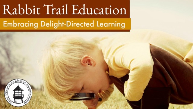 Struggling to stay on task in your homeschool? Begin embracing delight-directed learning! Great encouragement for exploring in your lessons.