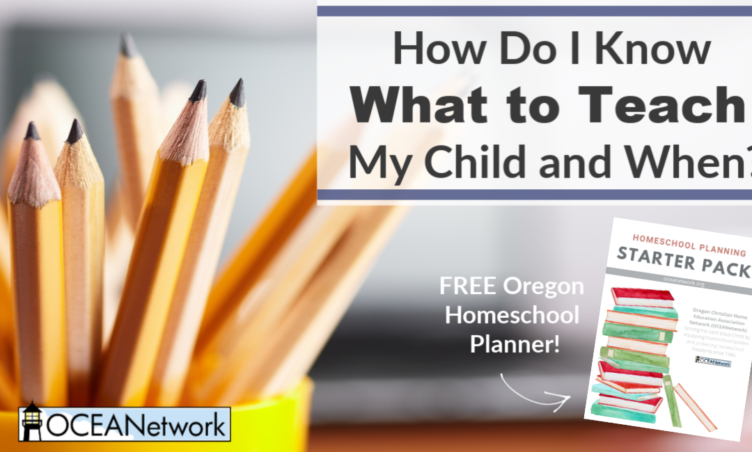 How Do I Know What to Teach My Child and When? (+ free homeschool planner!)