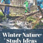 Winter nature study ideas for the Pacific Northwest (Oregon homeschool tips)