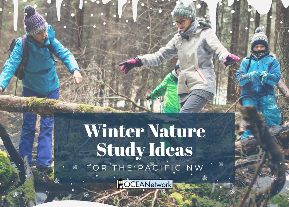 Winter Nature Study Ideas for the Pacific Northwest (Oregon Homeschool Tips)