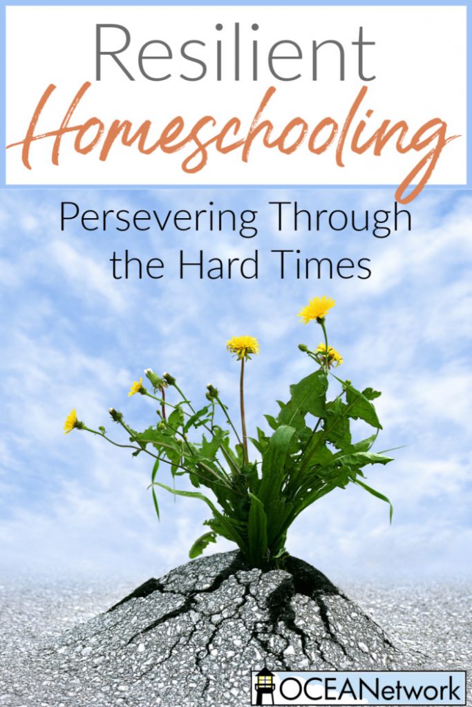 Going through difficult situations in your life right now and not sure if you can continue homeschooling? Hear from this real-life homeschooling mom in Oregon and how they homeschooled through their house burning down. Resilient Homeschooling_ Persevering Through The Hard Times - Homeschooling in Oregon Spotlight with OCEANetwork!