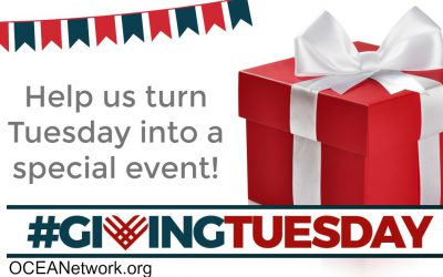 Support OCEANetwork on Giving Tuesday!