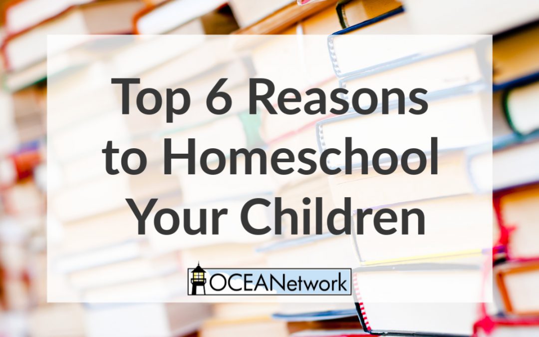 Top 6 Reasons to Homeschool Your Children